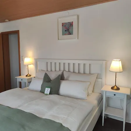 فندق & Restaurant Zum Reussenstein 3*