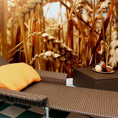 & Restaurant Zum Reussenstein Hotel 4*