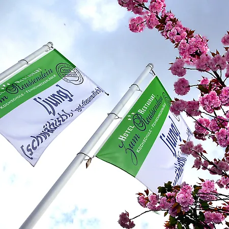 & Restaurant Zum Reussenstein Ξενοδοχείο 3*