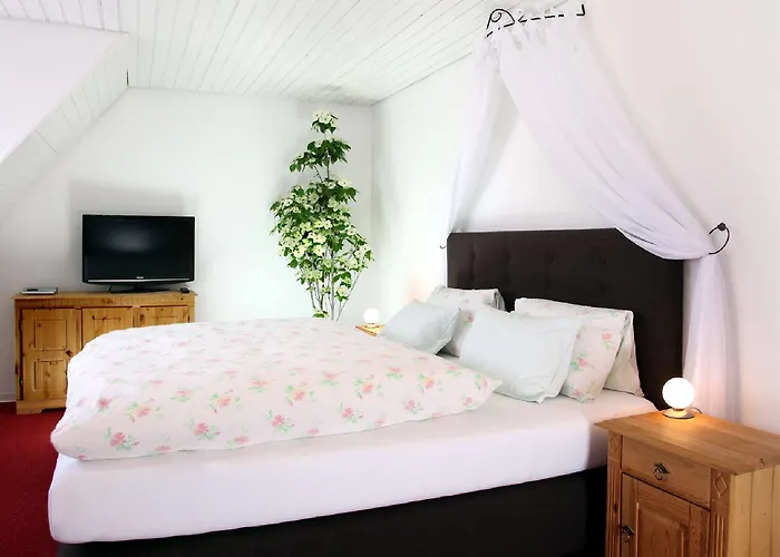 Hotel & Restaurant Zum Reussenstein